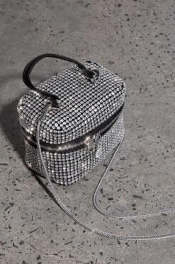 Brooklyn Crystal Mini Case Bag Silver
